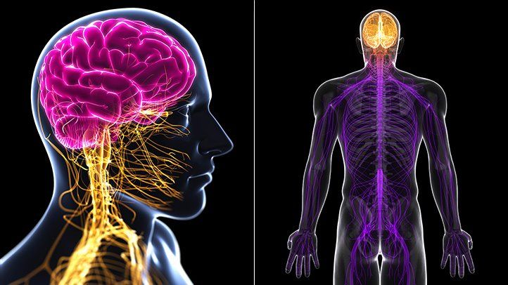 چرا در افراد دارای بیماری دیابتی زخم دیرتر بهبود می یابد؟