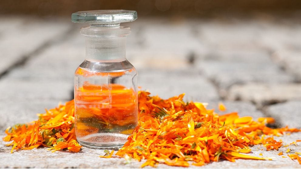 روغن گل همیشه‌بهار برای درمان زخم بستر 