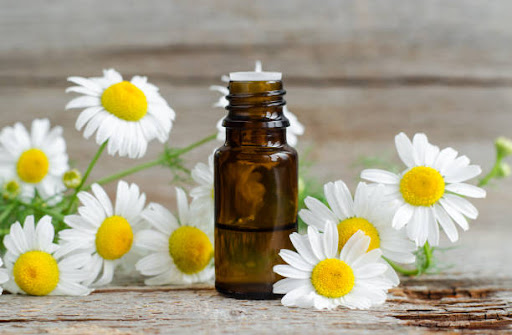 روغن بابونه برای درمان زخم بستر 