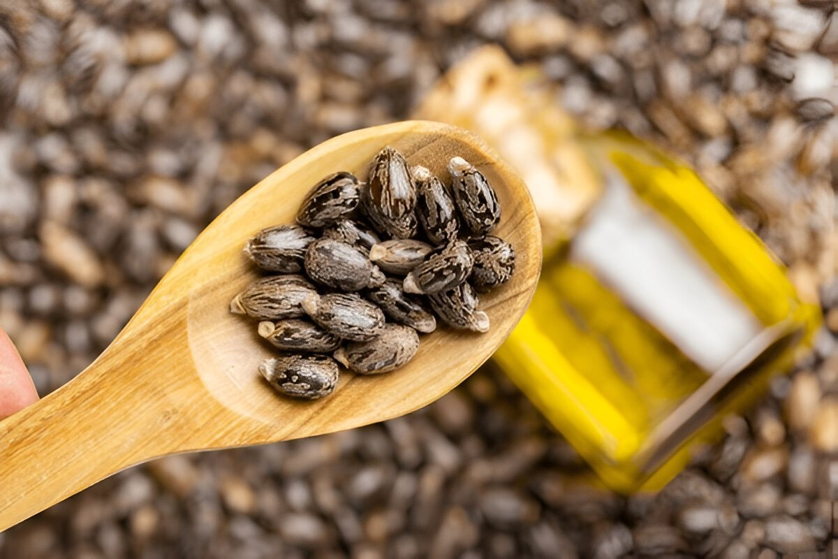 روغن کرچک برای درمان زخم بستر 