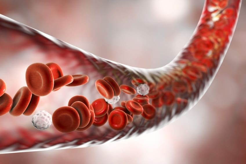 Blood infection