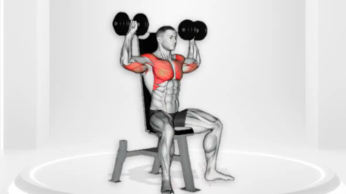 پرس سرشانه نشسته با دمبل