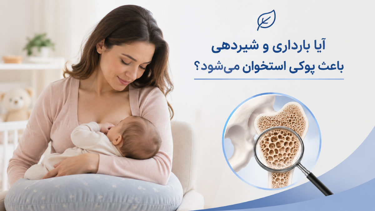 شیردهی و بارداری ، پوکی استخوان در زنان 